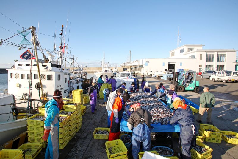 漁業は重要な産業のひとつ（写真はイメージです）出典：秋田県水産漁港課