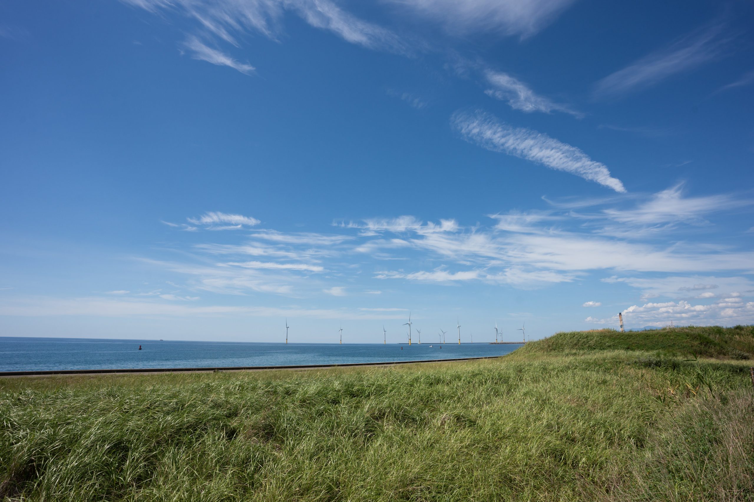 草原から見た洋上風力発電　出典：編集部にて撮影